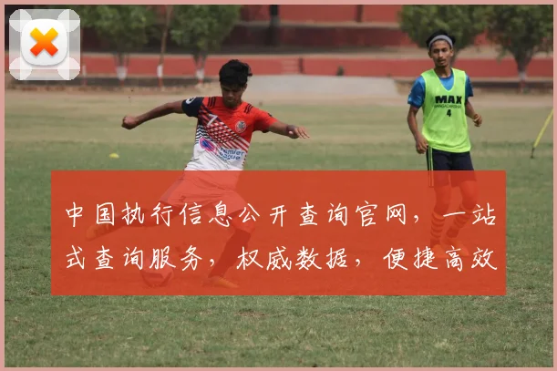 中国执行信息公开查询官网，一站式查询服务，权威数据，便捷高效，助力维权。