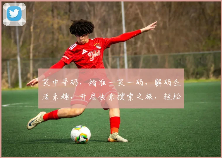 笑中寻码，精准一笑一码，解码生活乐趣，开启快乐搜索之旅，轻松解锁幸福瞬间。
