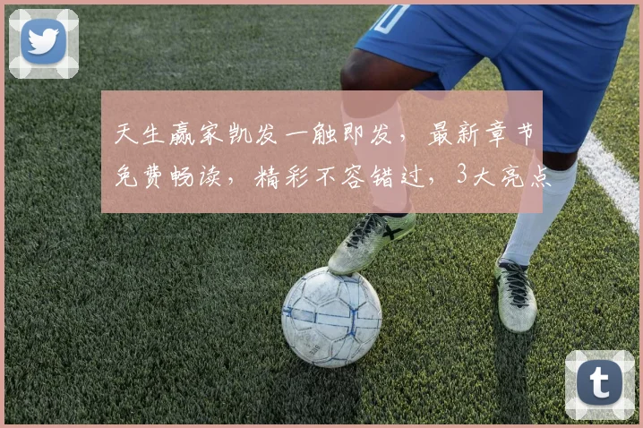 天生赢家凯发一触即发，最新章节免费畅读，精彩不容错过，3大亮点揭秘