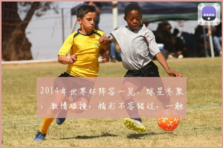 2014年世界杯阵容一览，球星齐聚，激情碰撞，精彩不容错过，一触即发